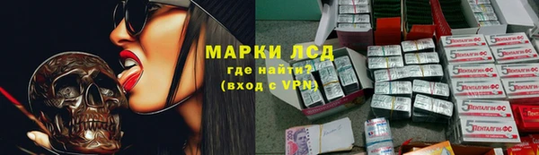 гидра Елизово