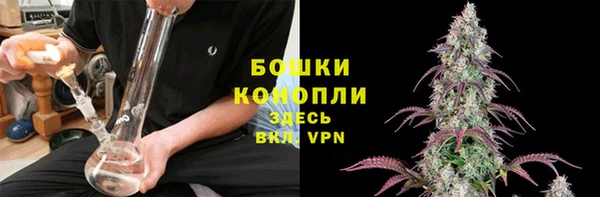 гидра Елизово