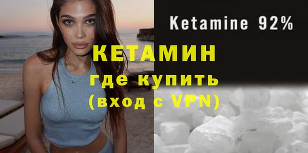 гидра Елизово