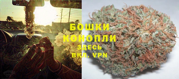 гидра Елизово