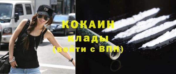 прущая мука Ельня