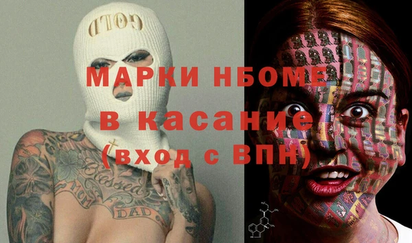 гидра Елизово