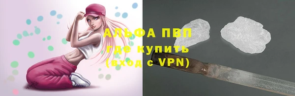 прущая мука Ельня