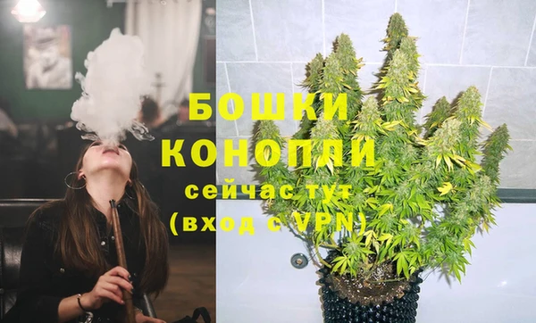 гидра Елизово