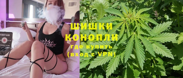 гидра Елизово