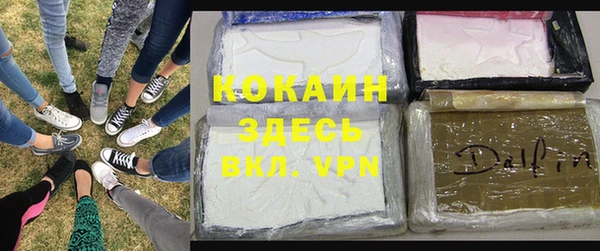 прущая мука Ельня