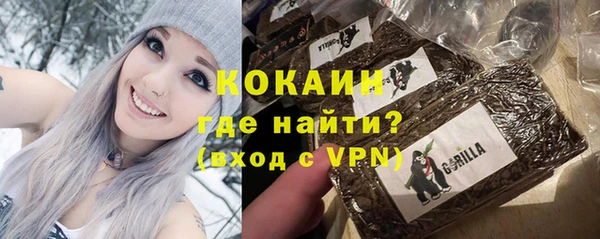 прущая мука Ельня