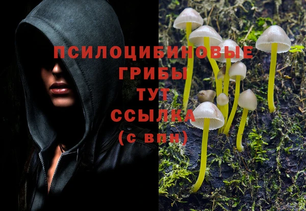 прущая мука Ельня