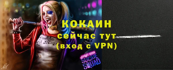 прущая мука Ельня