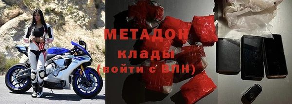 гидра Елизово