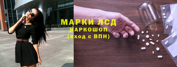 гидра Елизово