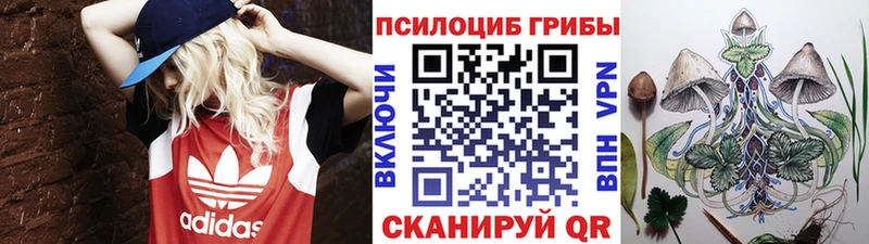 Галлюциногенные грибы мицелий Исилькуль